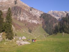 Blick von Laui zum Säntis